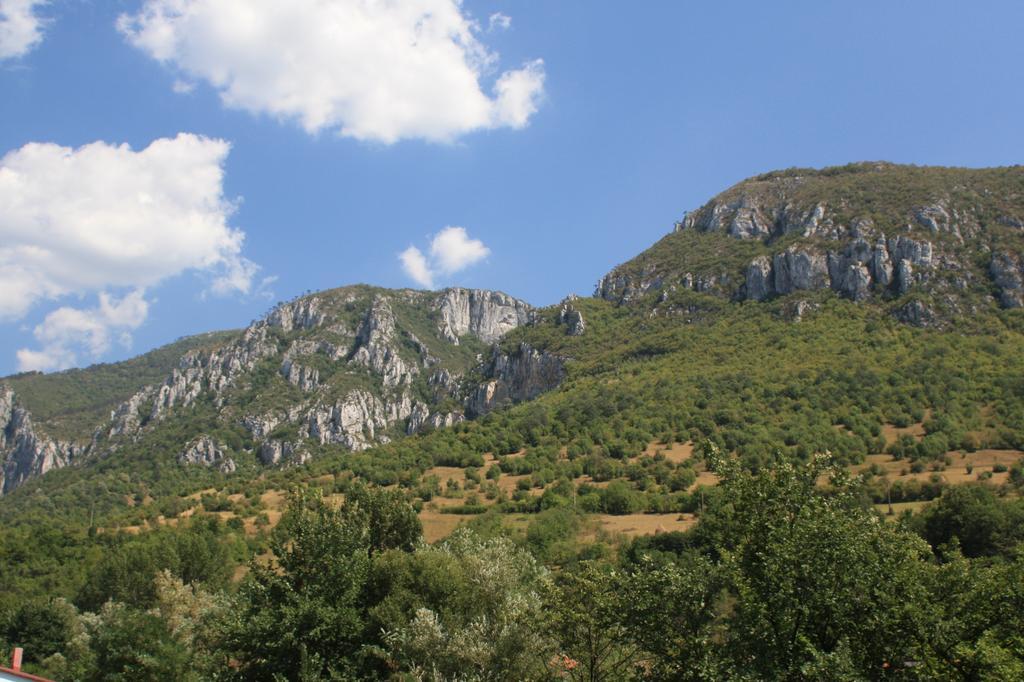 Pensiune Safrane Беїле-Херкулане Номер фото